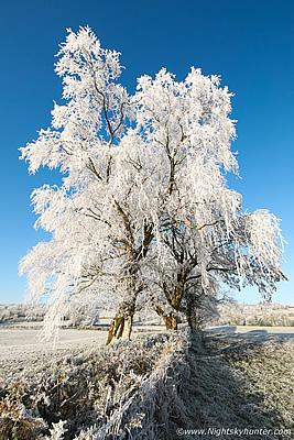 Spectacular Hoar Frost Formations During Severe Cold Spell - Co Tyrone December 2022